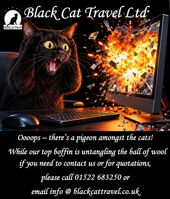 Black Cat Travel Ltd - temporary holding page